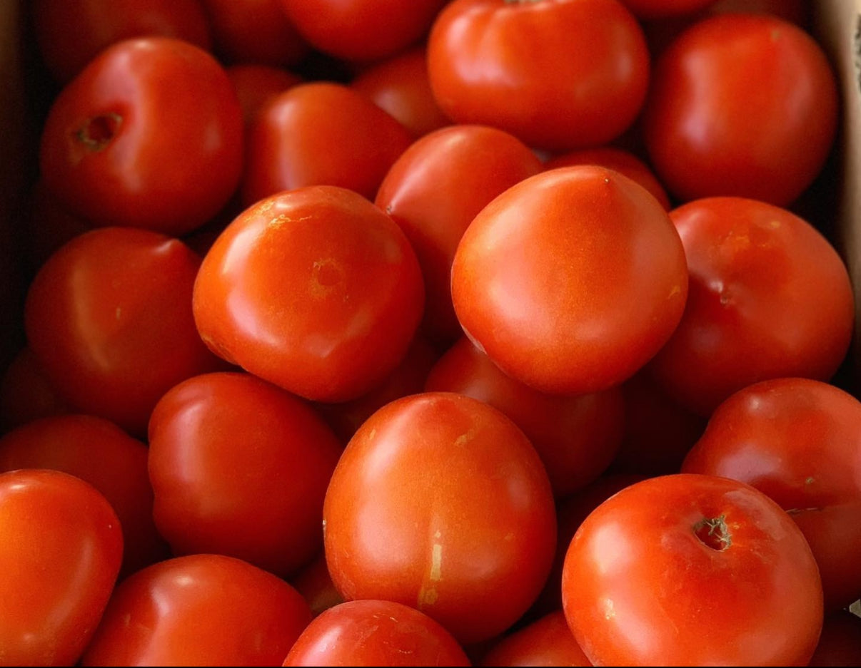 25# Regular Canning Tomatoes