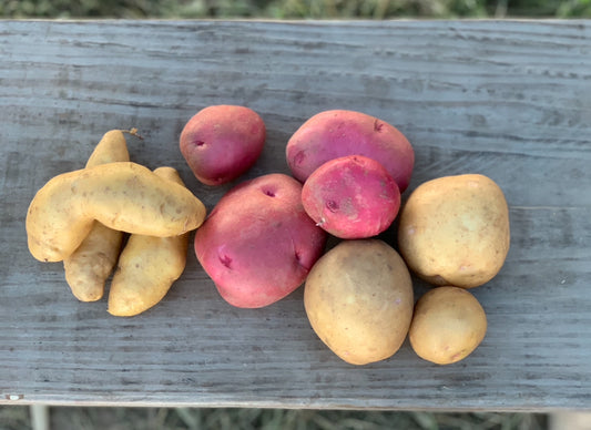 25# Red Potatoes