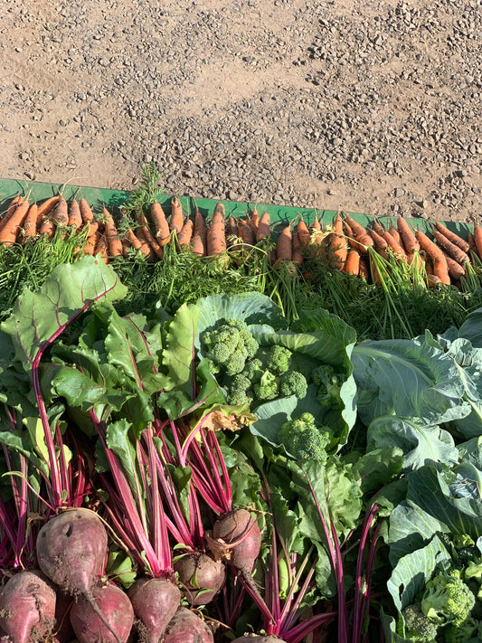 25# Carrots